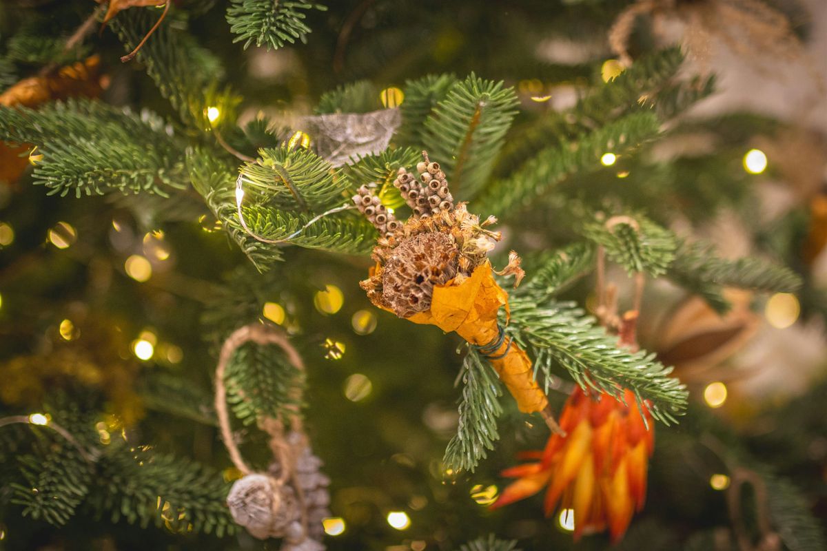 Botanical decoration workshop