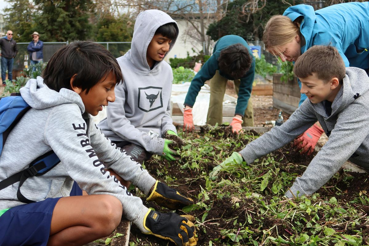 Summer Camp at the Farm!