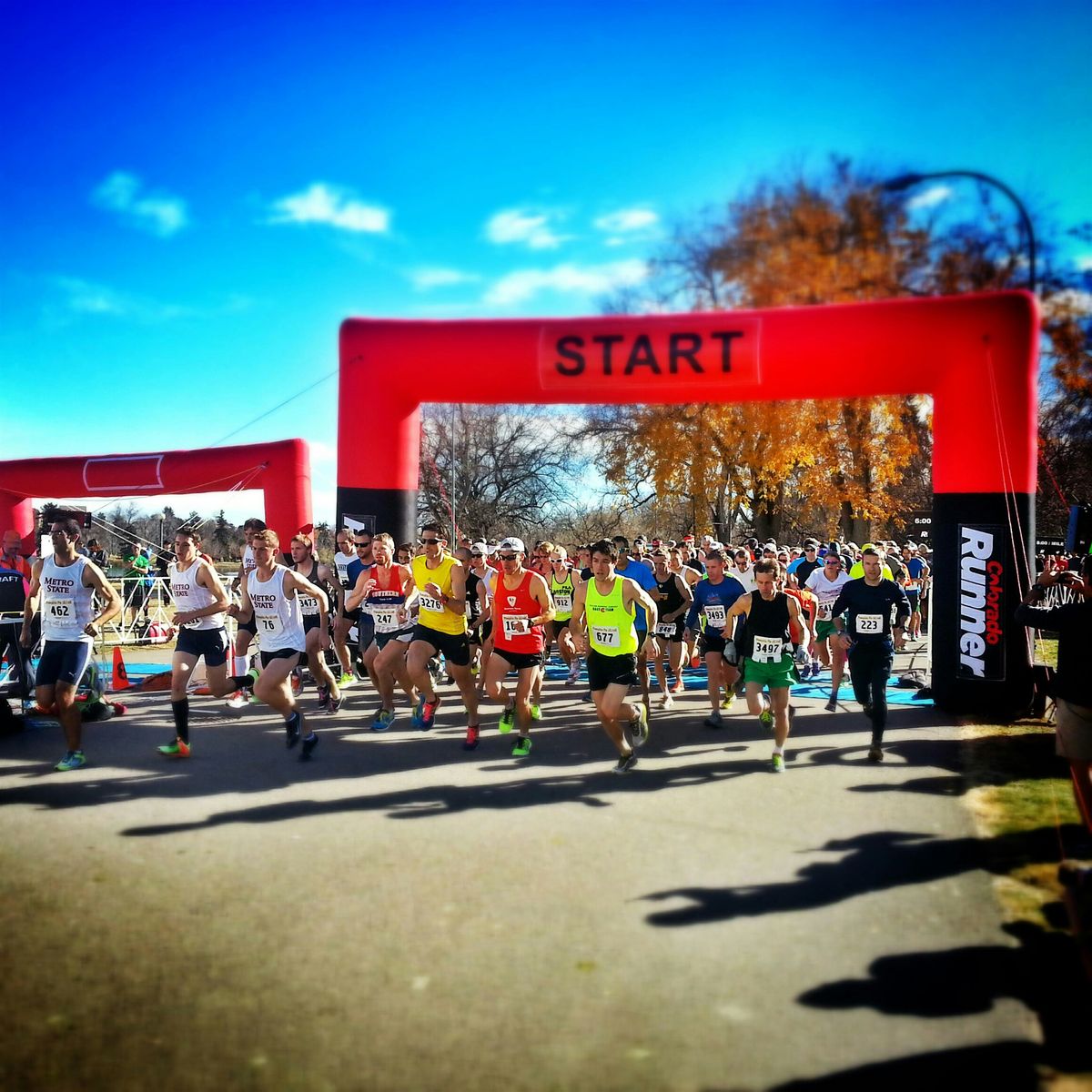 Pumpkin Pie 5K\/10K - 2025