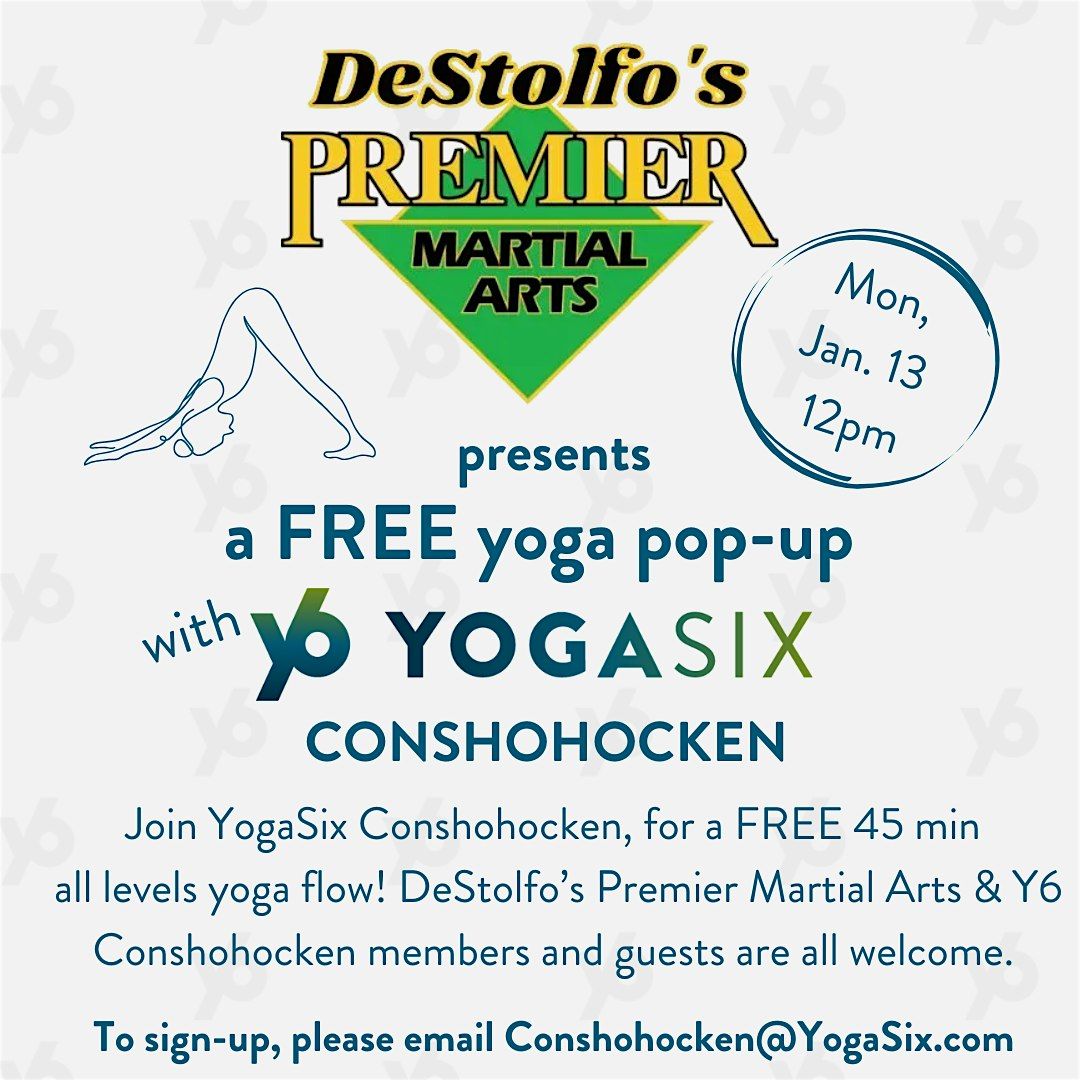 Free Yoga at Destolfo's Premier Martial Arts