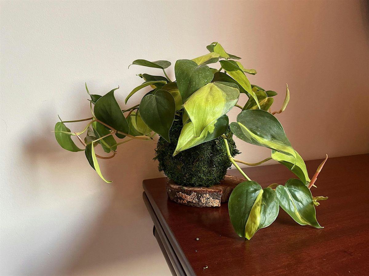 Kokedama Workshop at Botanical Fare