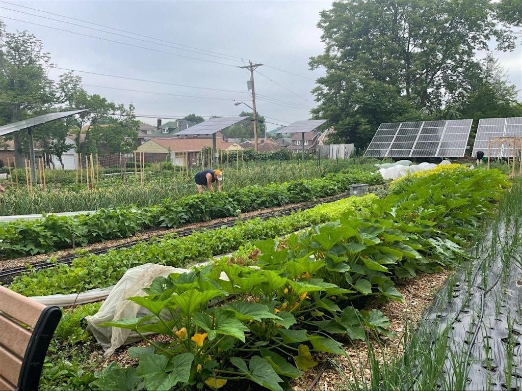 Monthly Volunteer Project at Shiloh Farm