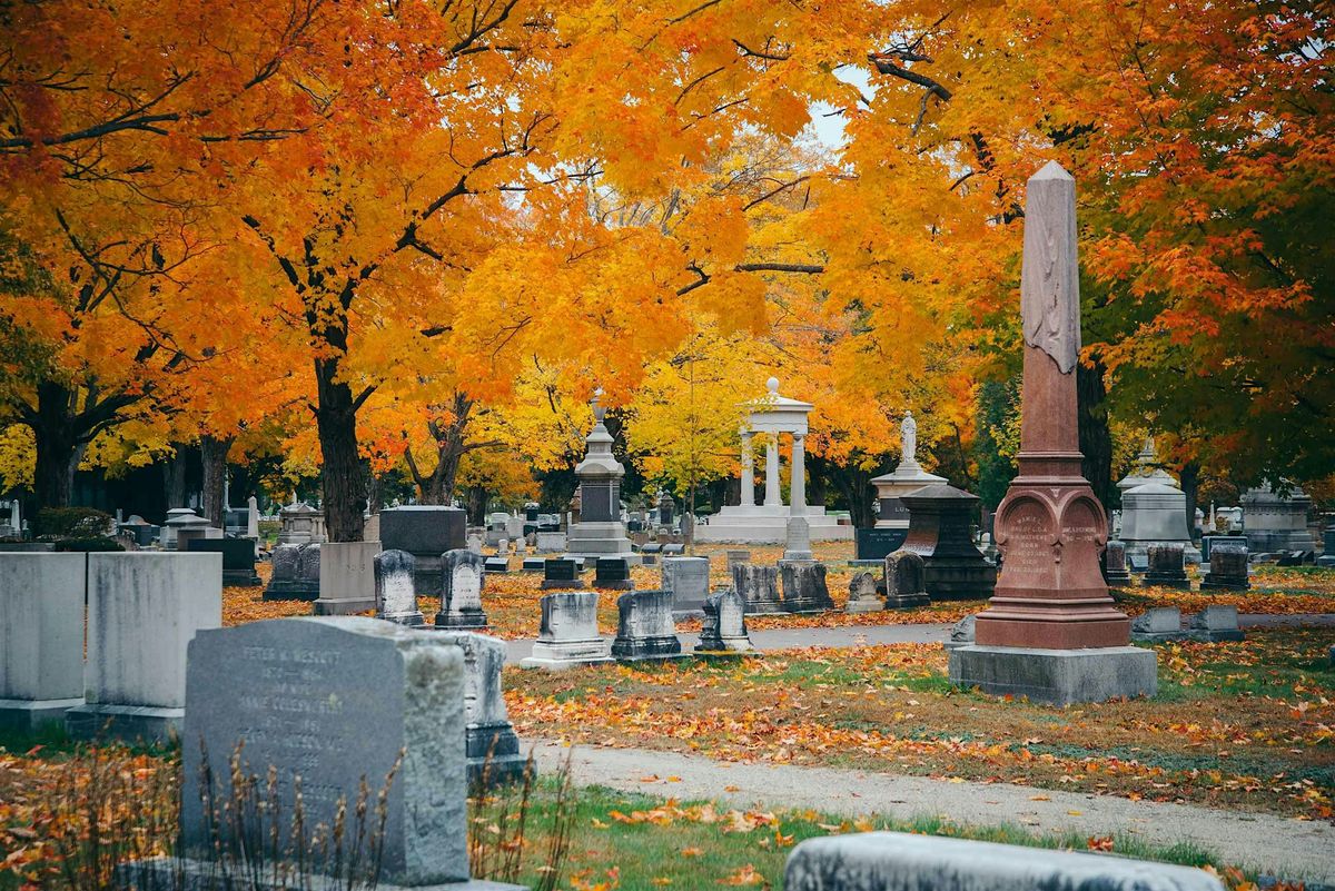 MTN OUTdoors: Late Autumn Plant and Tree Walk