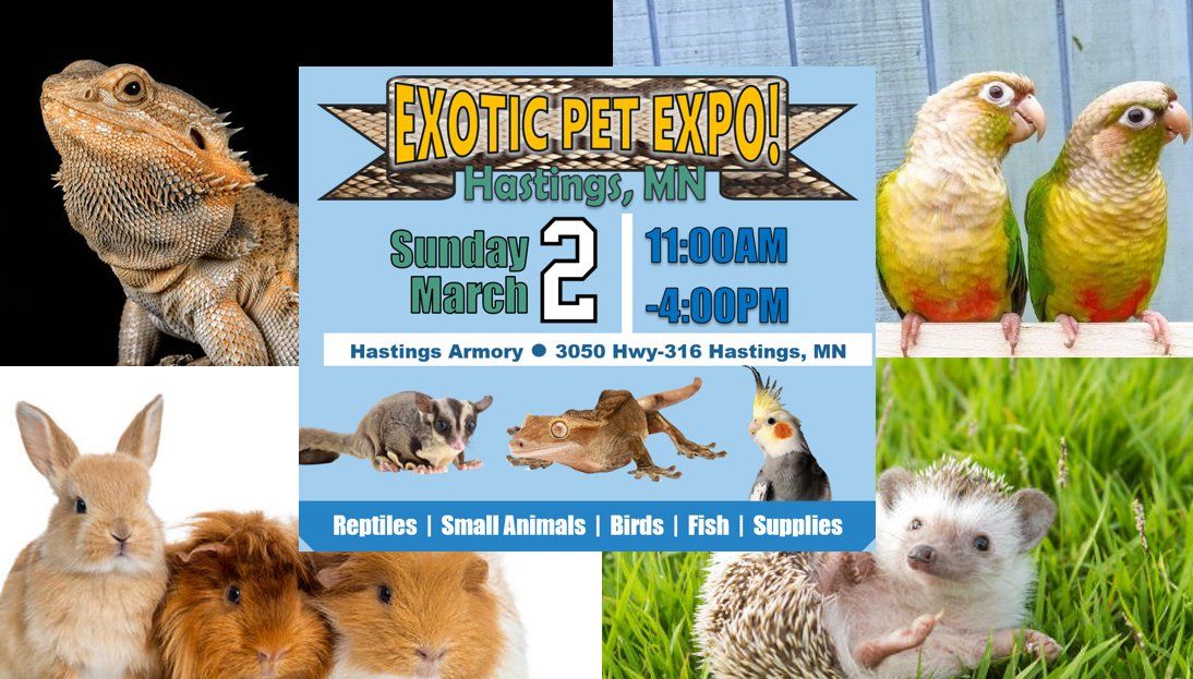 Hastings Exotic Pet Expo!!