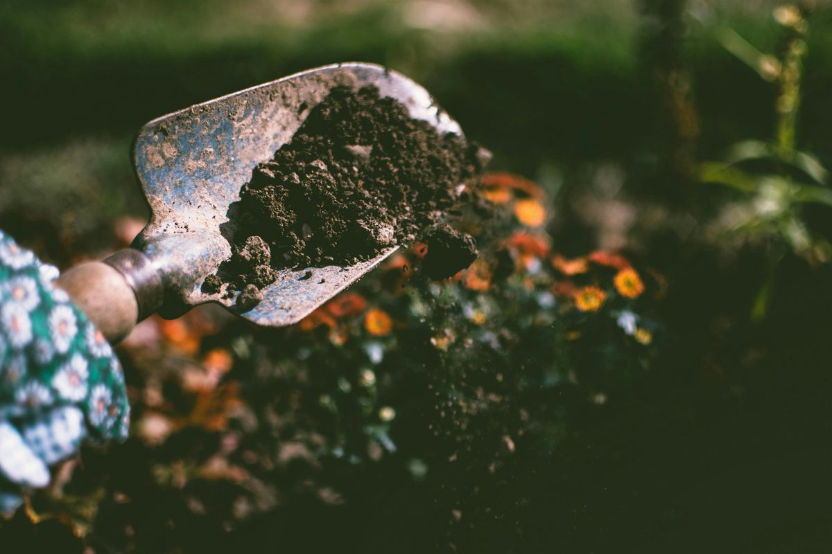 Beginner Gardening Class