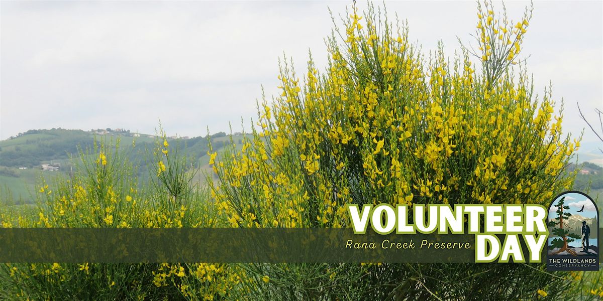 Volunteer Day: Invasive Plant Removal - Rana Creek Preserve