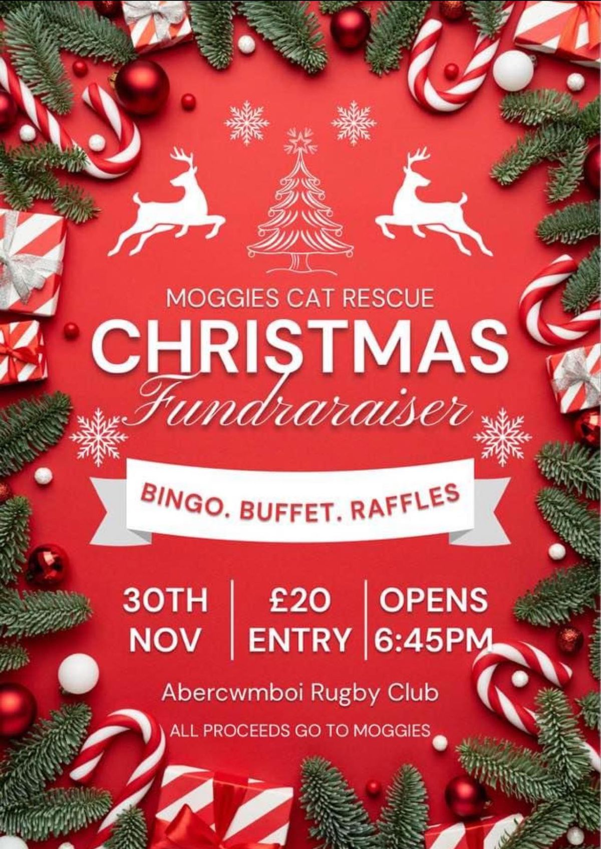 Christmas Fundraiser - Bingo and Buffet!