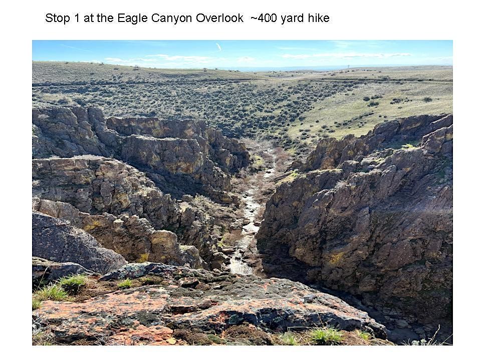 Willow Creek Jasper Mine Field Trip