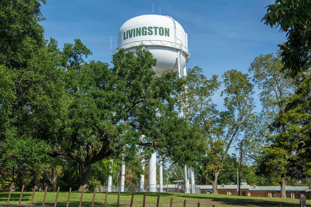 Awesome Scavenger Hunt! - Livin\u2018 Large in Livingston Hunt
