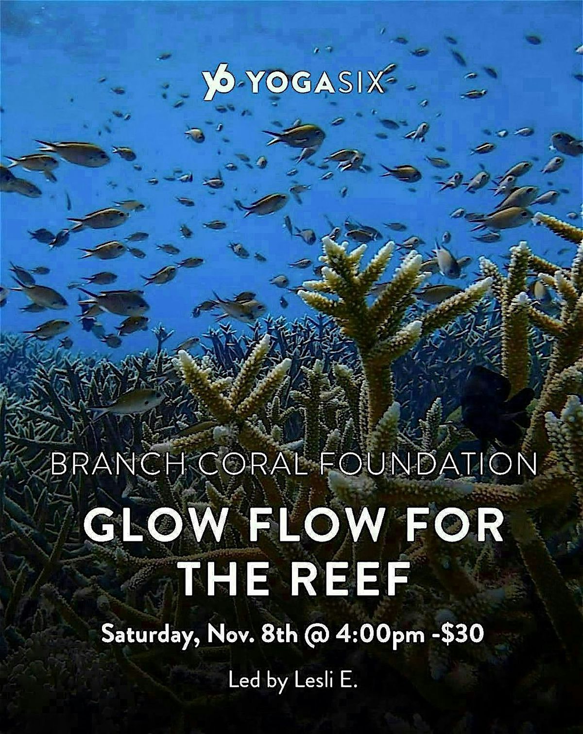 Glow Flow For The Reef