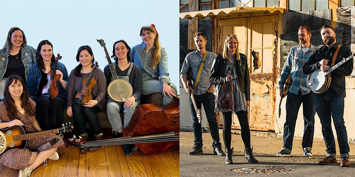 The High Water Line & Bitchcraft Stringband - Live on the Waterfront
