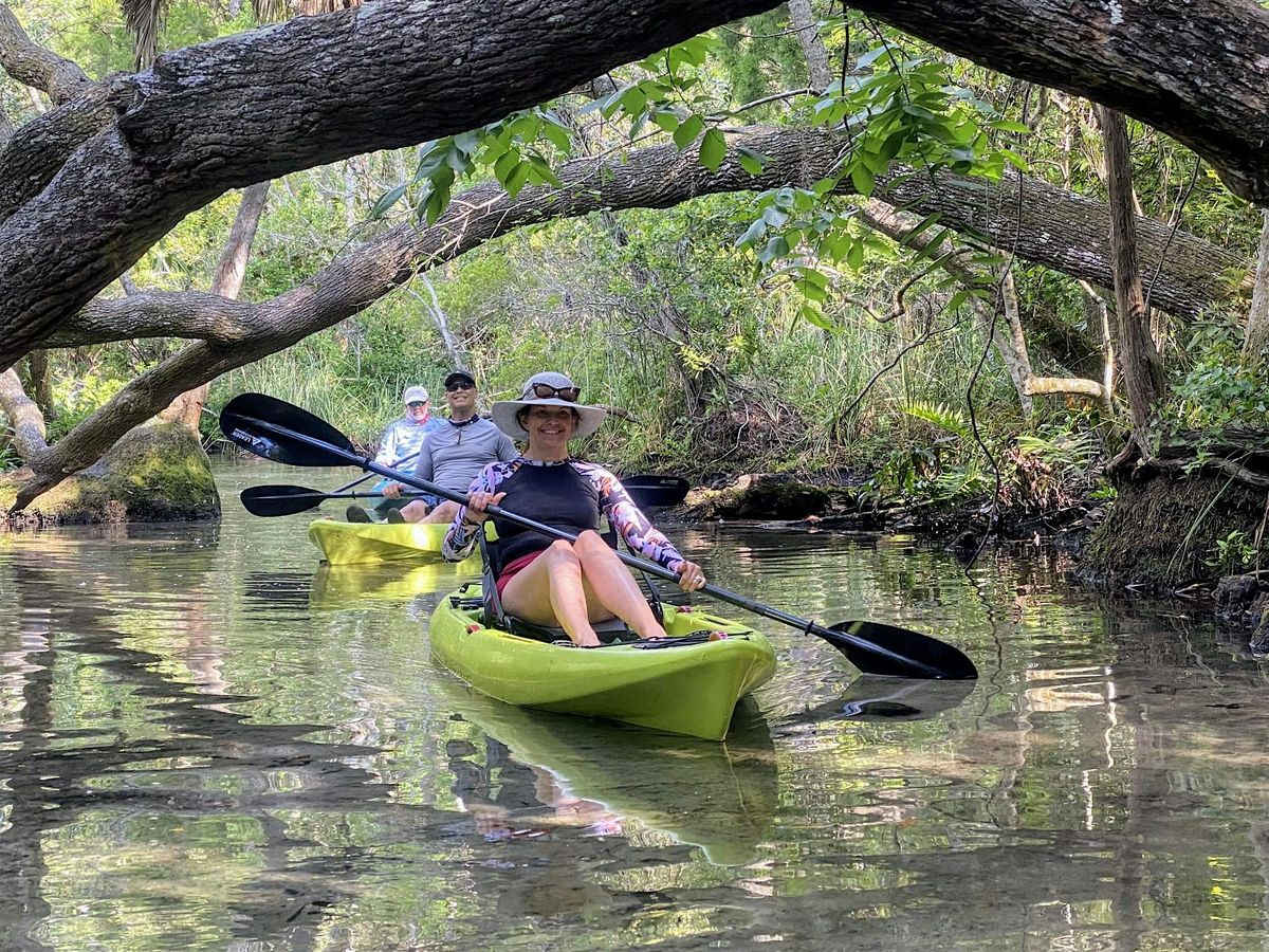 Chassahowitzka River Wildlife Kayak Adventure