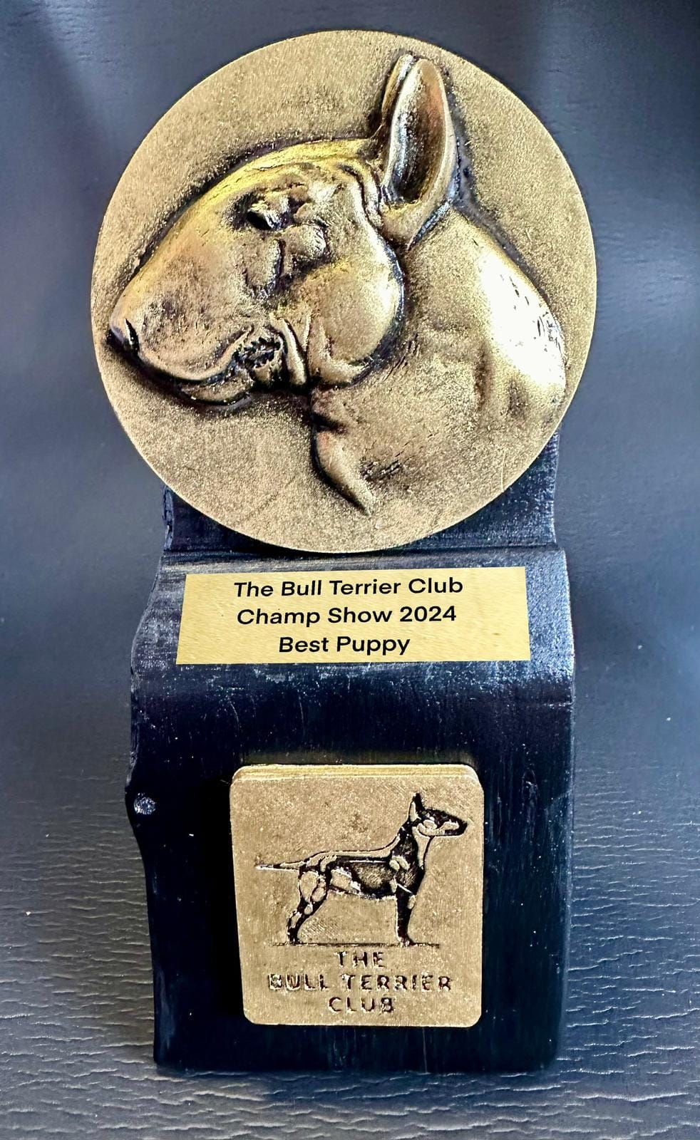 The Bull Terrier Club Championship Show 2024