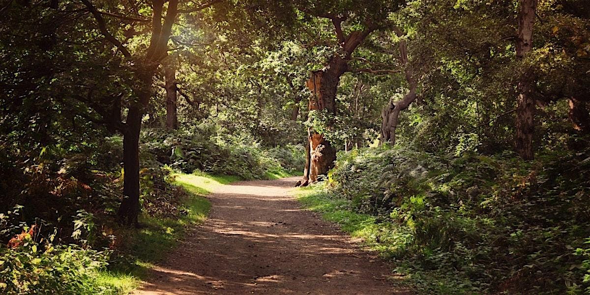 Experience Community Sherwood Forest  Ramble