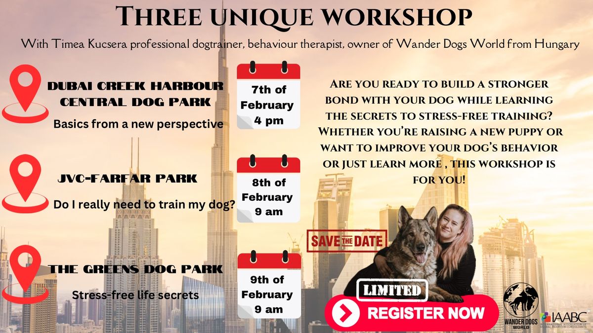 Three unique workshop in Dubai