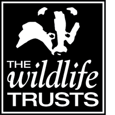 Becky Green - The Wildlife Trust BCN