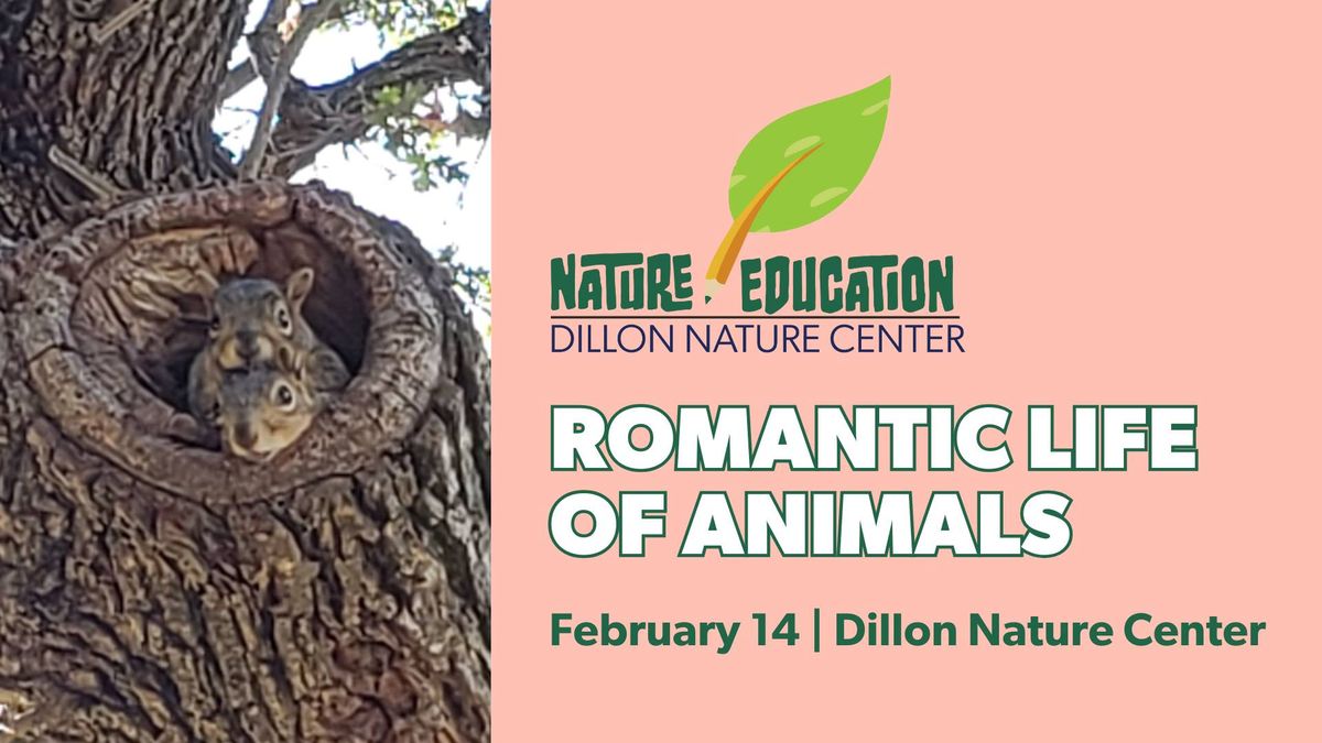 Nature Education Class: The Romantic Life of Animals