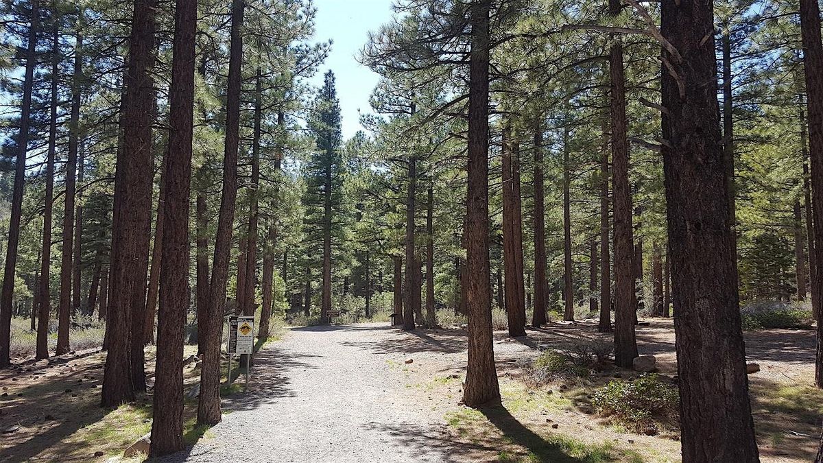 Footsteps into Story: How Travel and Hiking Inspire Writing