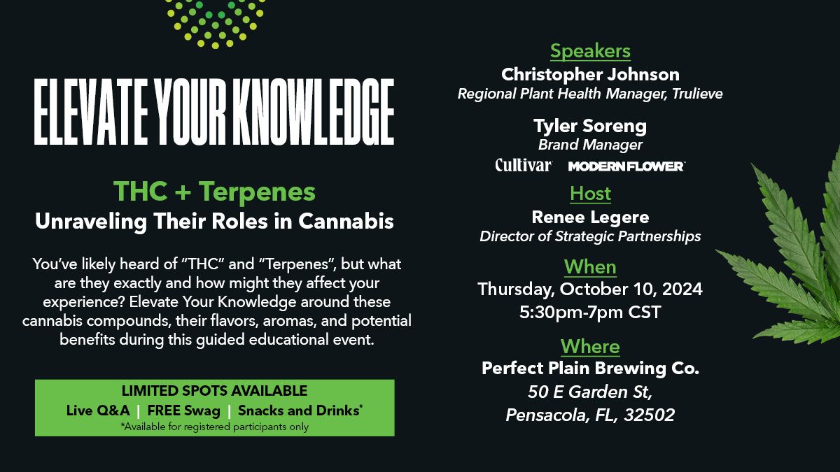 Elevate Your Knowledge: THC and Terpenes