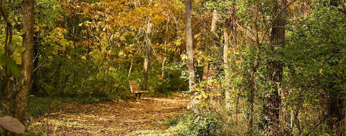 Burgoo and Trivia at the Springs