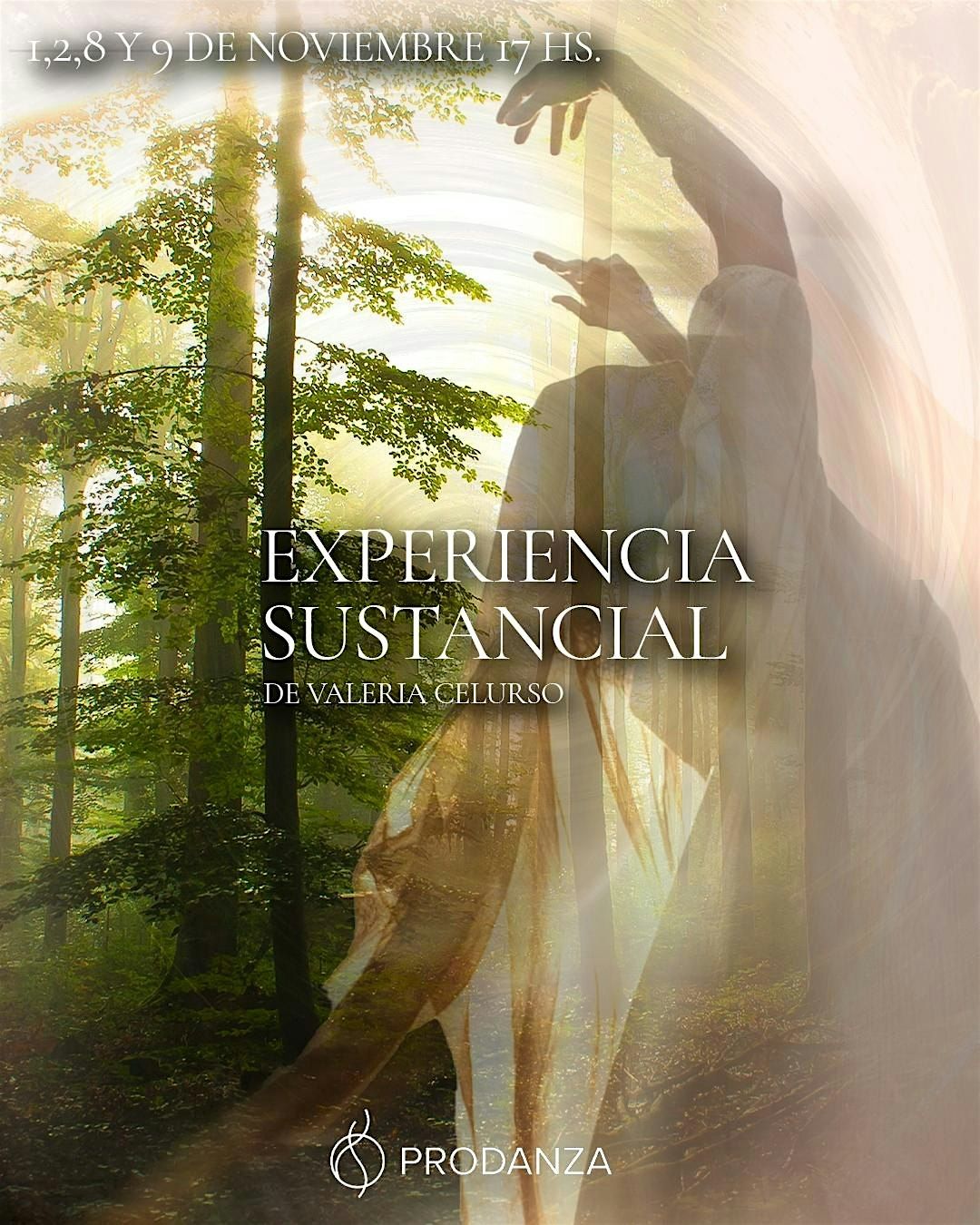 Experiencia Sustancial