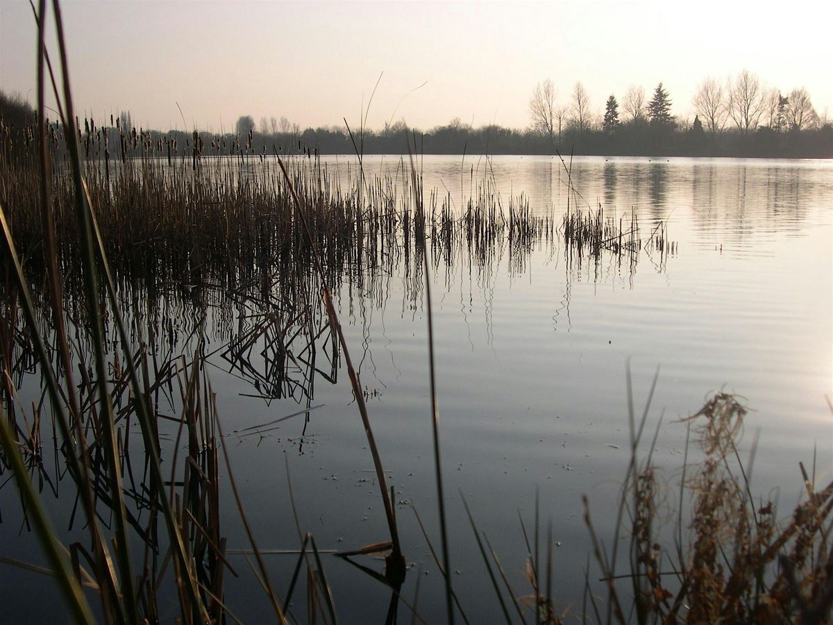 Blashford Lakes Young Naturalists