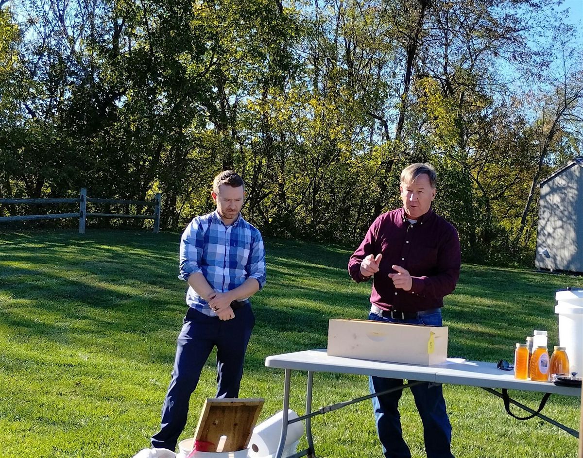 What's the Buzz about Mead?