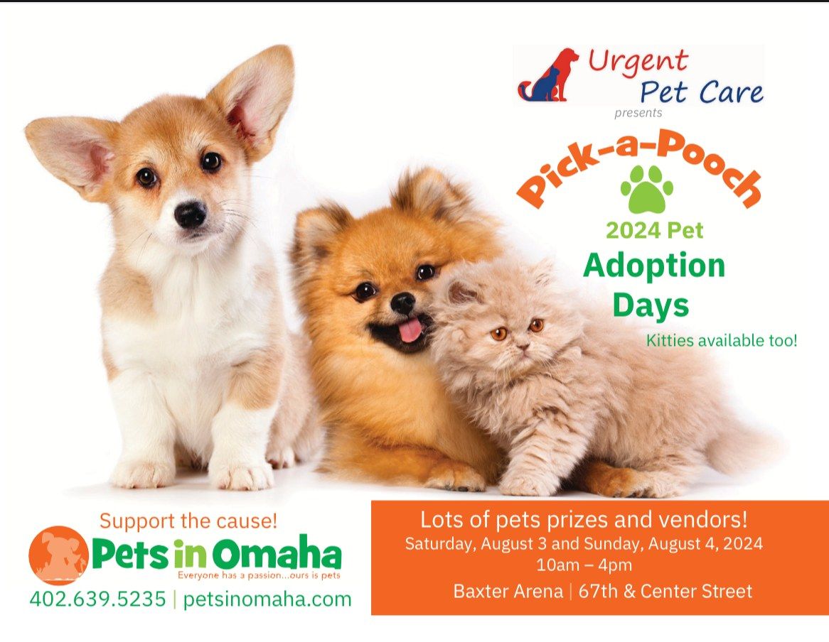 Pick-A-Pooch 2024 Pet Adoption Days