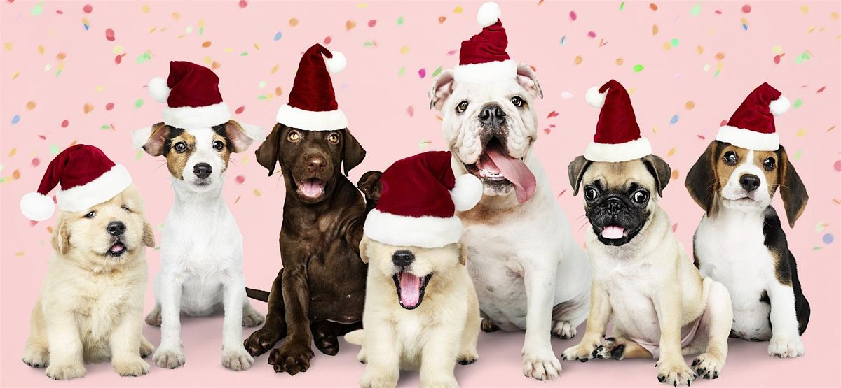 Free Pup Swag Bag at Pet Fest 2025!