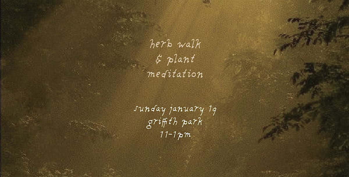 Herb Walk & Plant Meditation in Los Angeles