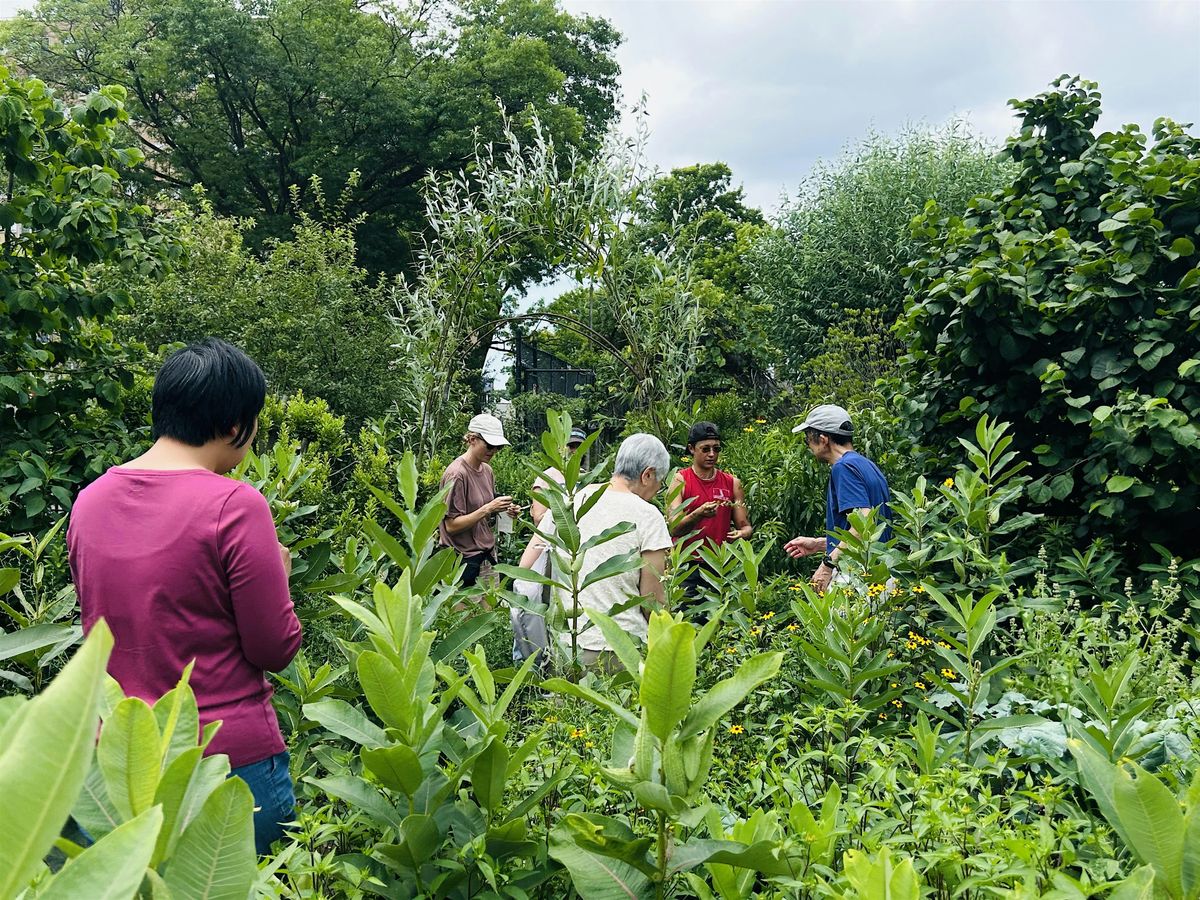 Talk on Medicinal Plant Trade