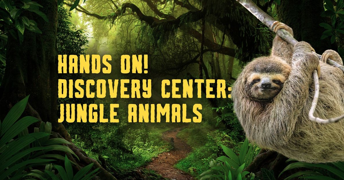Hands On! Discovery Center: Jungle Animals