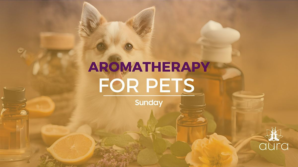 Aromatherapy for Pets