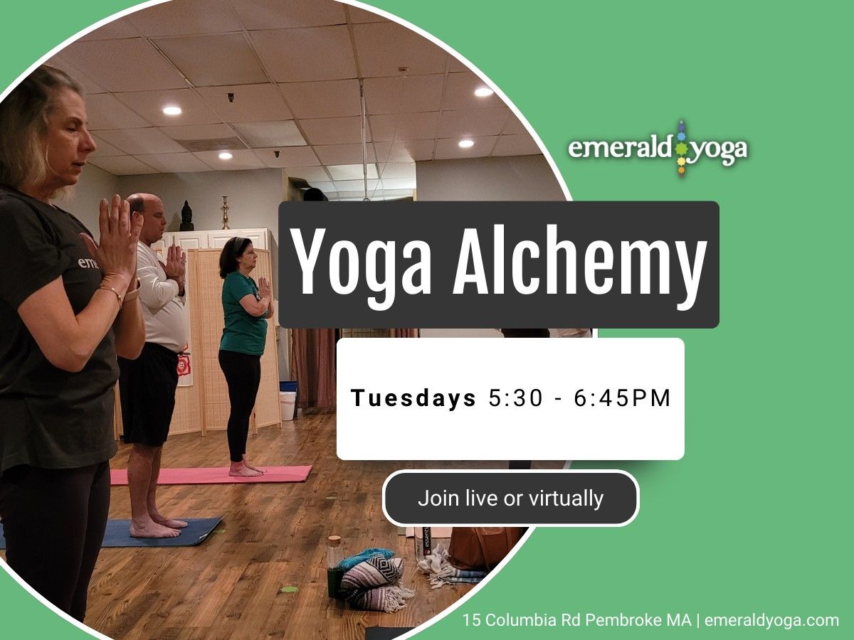 \ud83e\uddd8\ud83c\udffb Yoga Alchemy - Live + Virtual