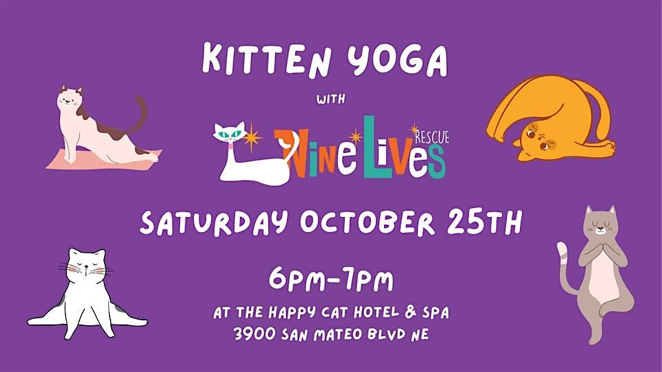 Cat Yoga at Happy Cat Hotel and Spa