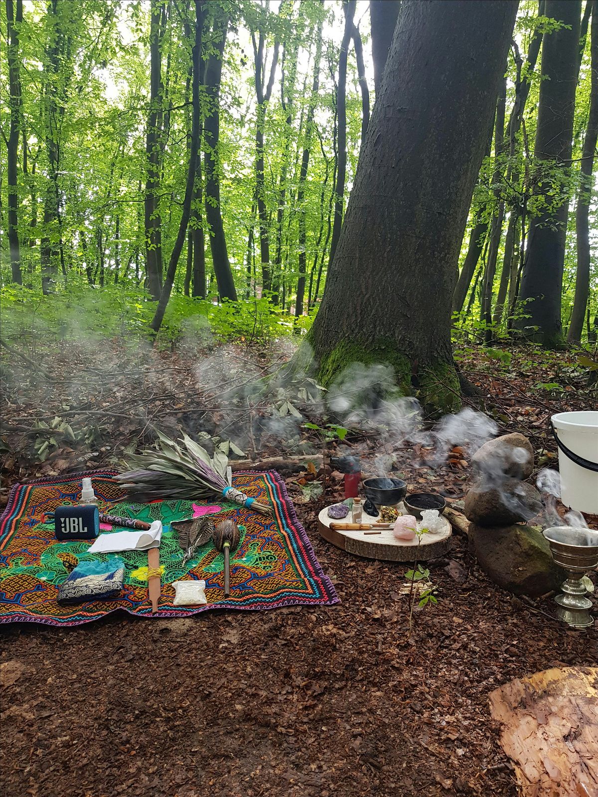 Kambo Ceremony