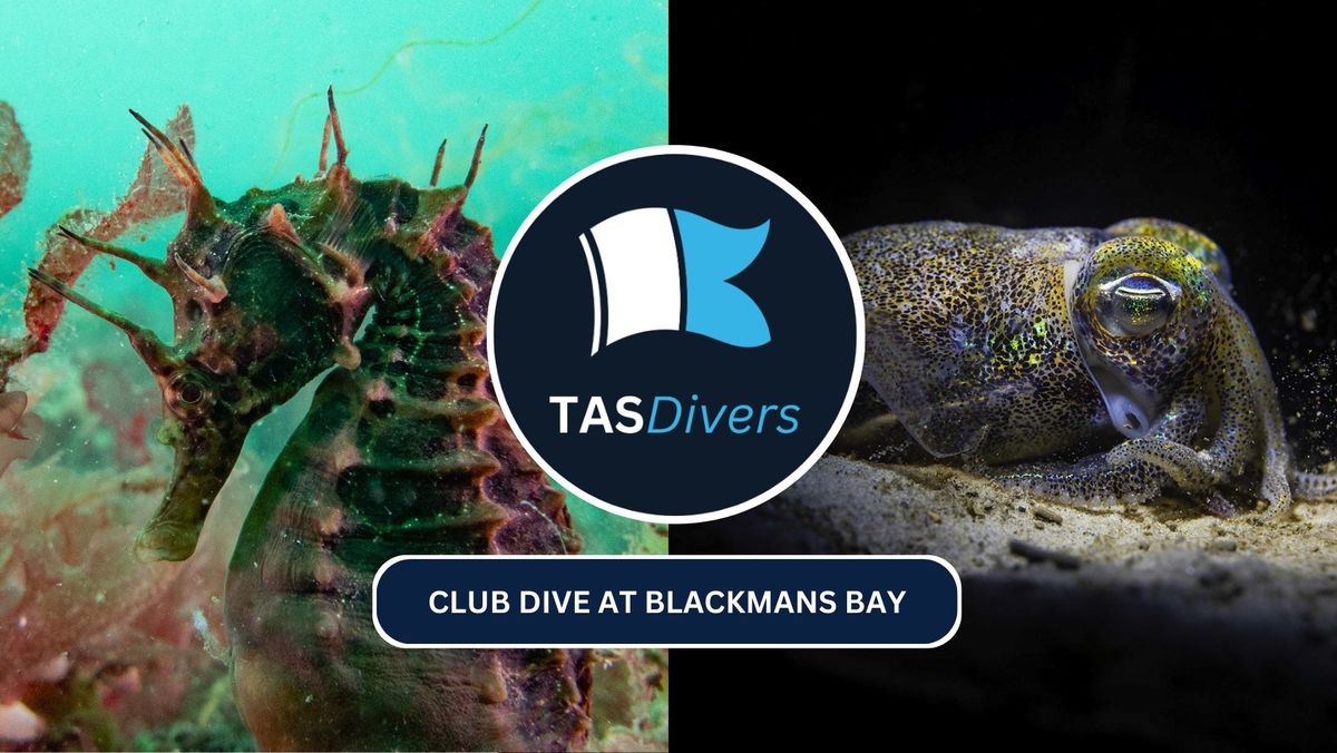 Club Dive at Blackmans Bay