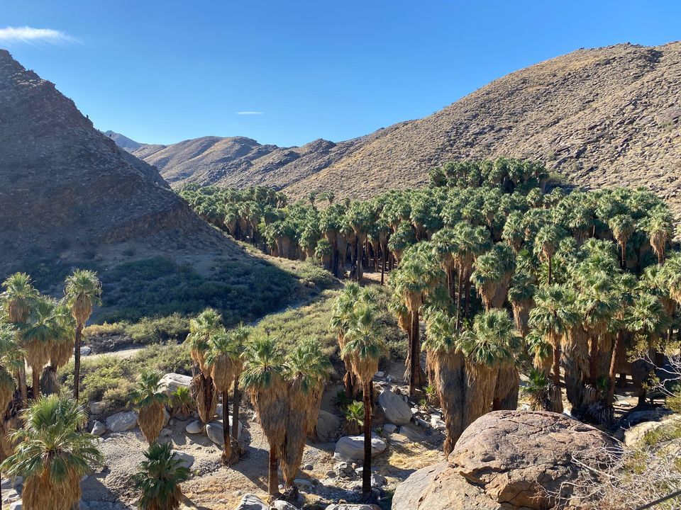 Indian Canyons Palm Oasis Adaptive Sports Hike