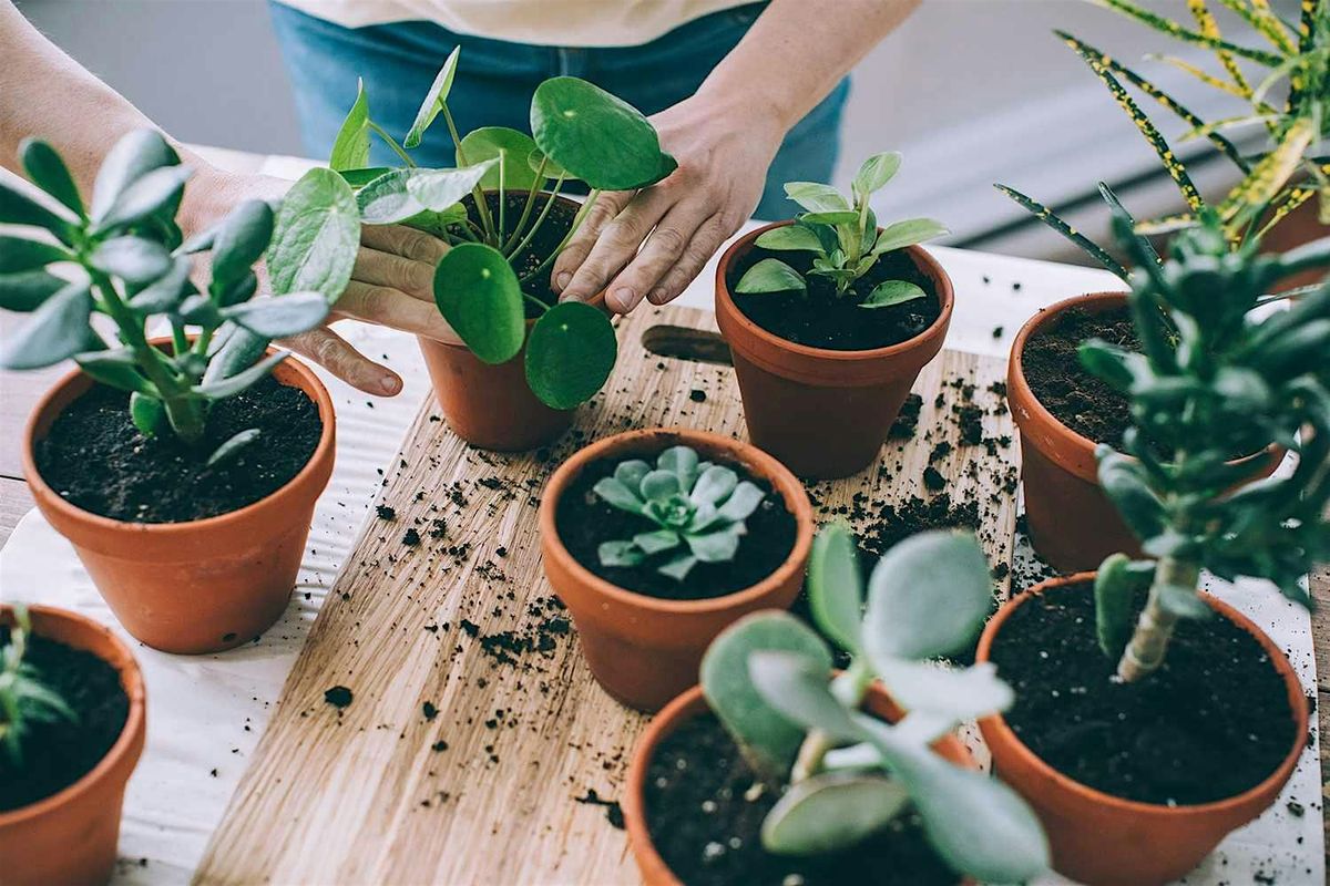 Plant Bingo