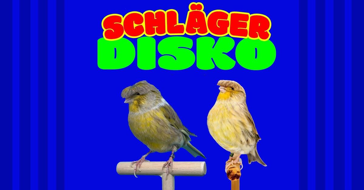 SCHL\u00c4GERDISCO *Starke Songs f\u00fcr softe Seelen*Indie, Hardcore,Emo, Punk & Metal