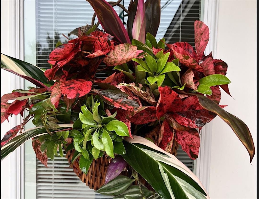 Holiday Backyard Florist