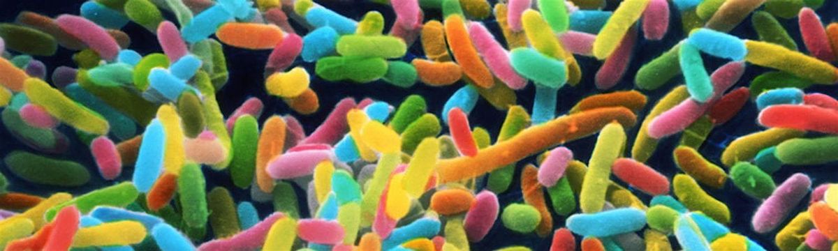 MID-ATLANTIC MICROBIOME MEET-UP