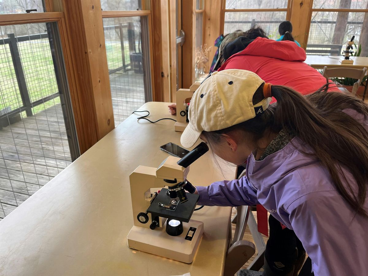 Jr. Naturalist: Microscope Lab