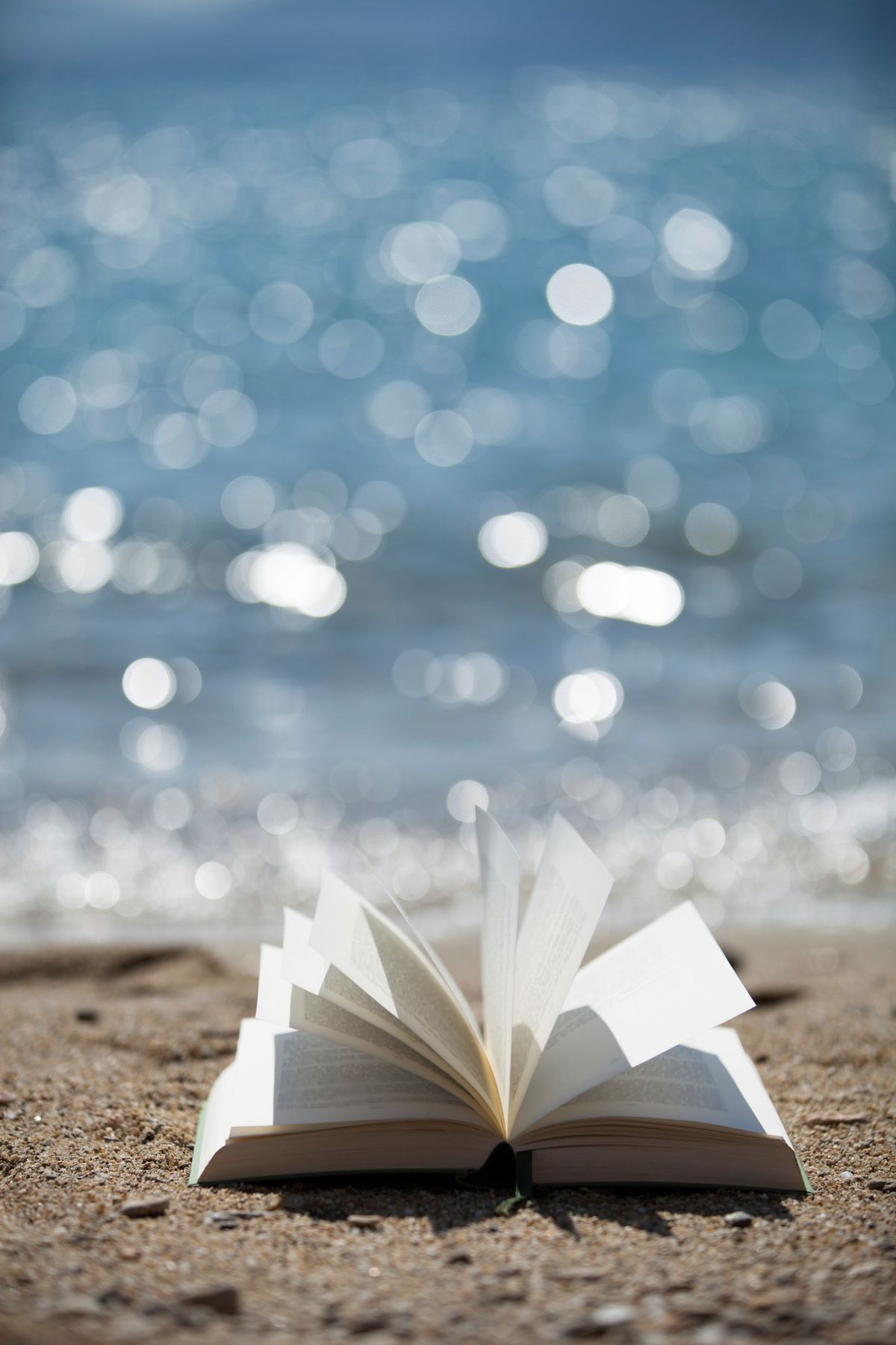 Ocean Beach Book Club