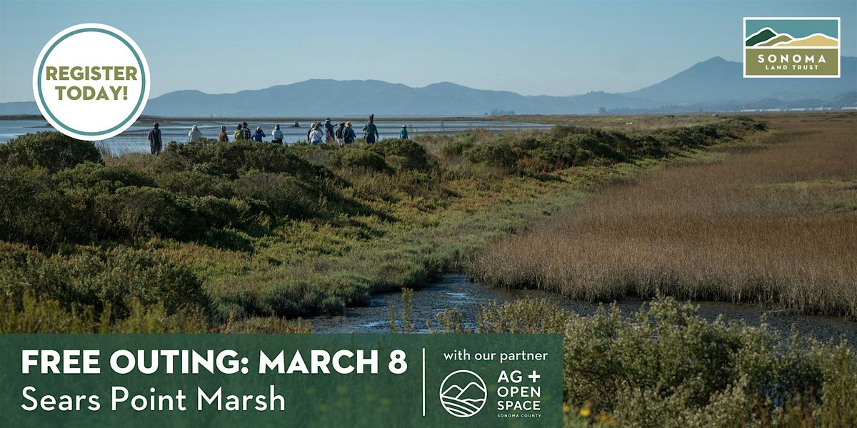 Sears Point Marsh Walk 3-8-25