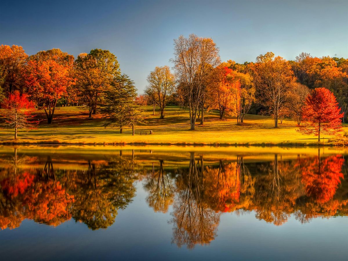 Composition in the Field - Photography Workshop