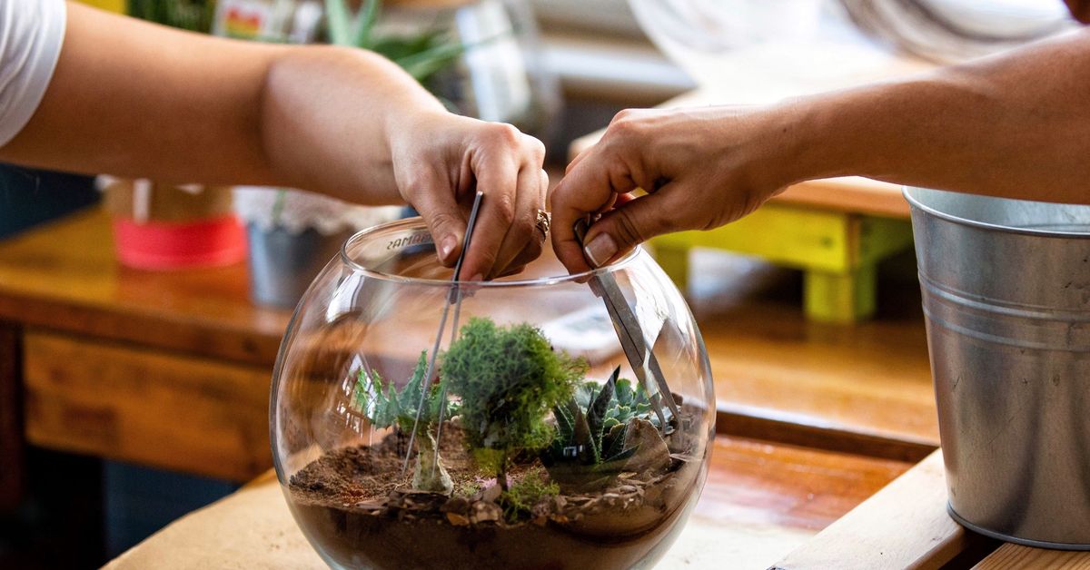 Couple's Terrarium Workshop