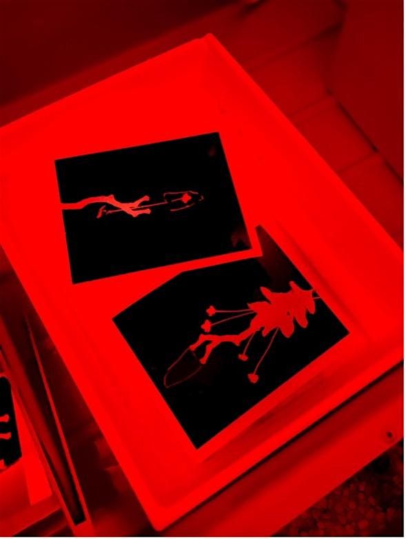 Photogram Printmaking Workshop