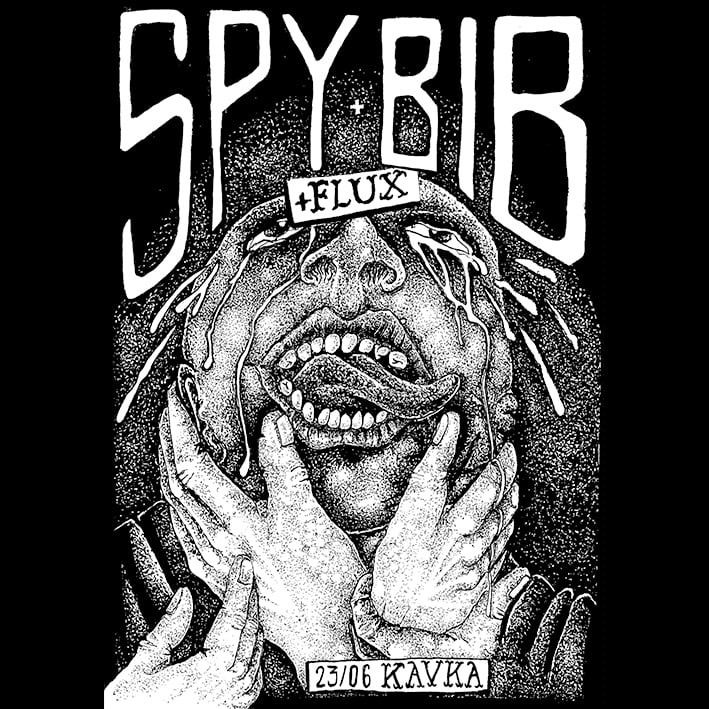 SPY (US) + BIB (US) + FLUX (BE)