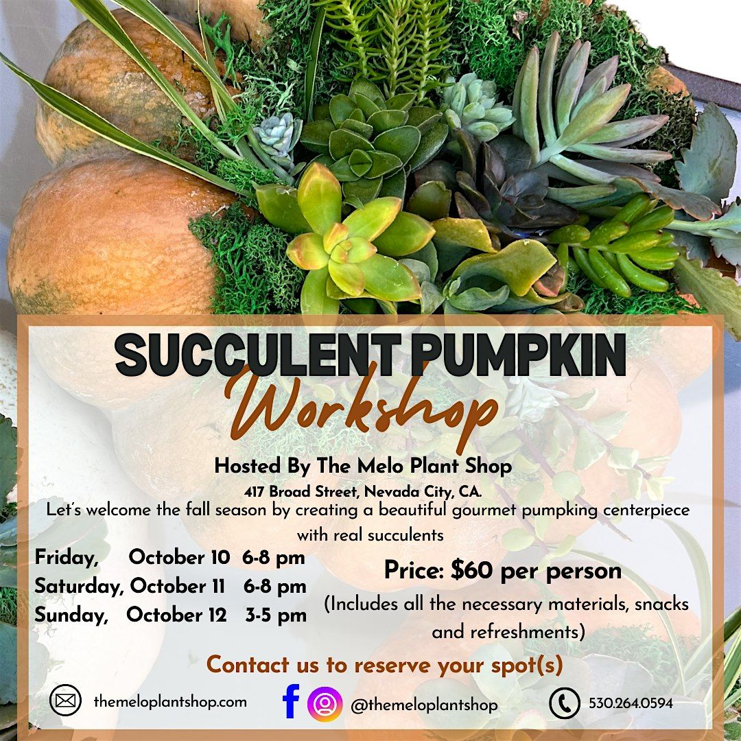 Fall Succulent Pumpkin Workshop